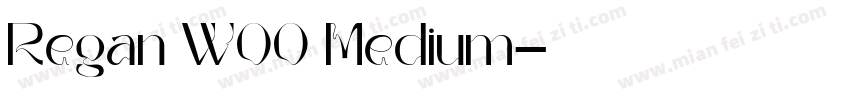 Regan W00 Medium字体转换